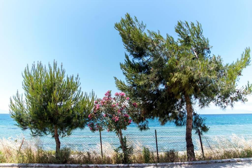 ניאה אירקליה Seafront 2 Bedrooms Apartment מראה חיצוני תמונה