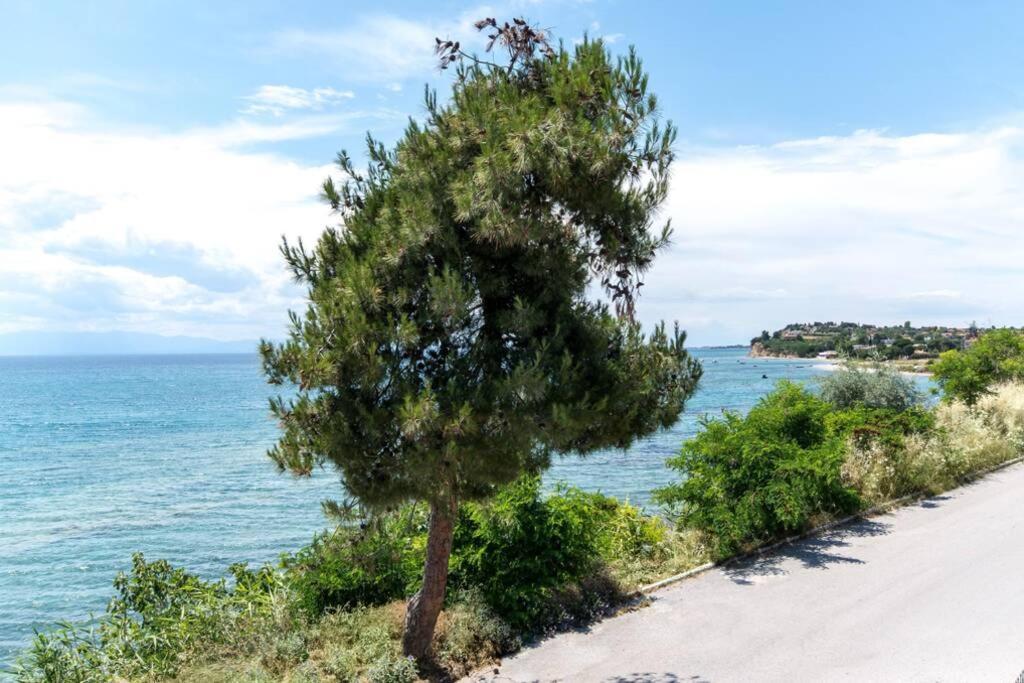 ניאה אירקליה Seafront 2 Bedrooms Apartment מראה חיצוני תמונה